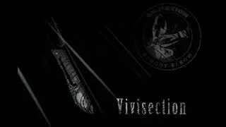 The MMA Vivisection - RIZIN 11 picks & analysis