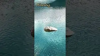Что за прекрасная вода#shorst