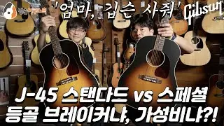 깁슨 뭐사지?!, 깁슨 J-45 스페셜 vs. 스탠다드 (Gibson J-45 Special vs. J-45 Standard Guitar)