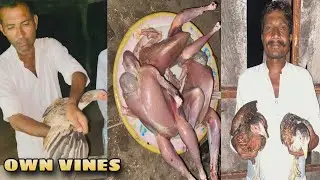 Sindhi Kukar Party ( Desi MURGHA ) - Own Vines - Date - 10/10/2024 - Like & Subscribe #sindhimurgha
