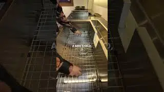 Era NG &ndash; The All-in-One Multifunctional Kitchen Sink by Nirali NG #kitchenmix #sink #explore