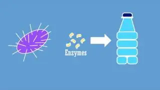 Enzymes, for degrading plastic