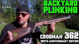 Плинкинг на заднем дворе &mdash; Crosman 362 100th Anniversary Edition