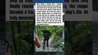 Park Ranger Carries Exhausted Dog Down the Mountain to Safety 🇺🇸