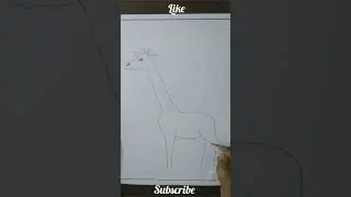 giraffe drawing/ how to draw a giraffe wild animal drawing #shorts #viral #youtubeshorts