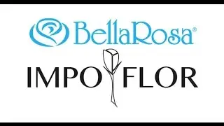 Обзор плантации BellaRosa