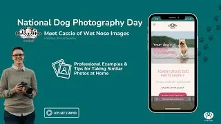 How to Take Professional Dog Photos: Examples from an Expert Dog Photographer