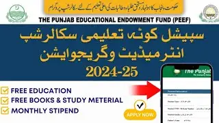 How to apply for PEEF fully funded scholarship online | Punjab Scholarships