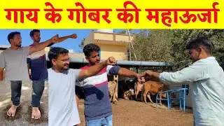 Power Of Desi Cow Dung