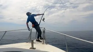 DOUNAN BLUEFINTUNA HOOKOUT 20210807
