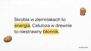 Budowa i Funkcje Węglowodanów
