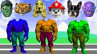 Wrong Heads Top Superheroes Puzzle COCOMELON- Meme Coffin Dance COVER Astronomia #Shorts