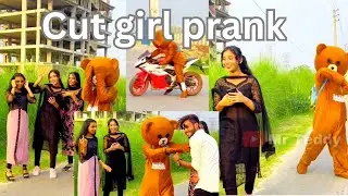 Cut girl prank in public place || Mr teddy bear | teddy top funny video