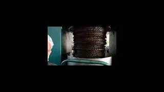 زيارة الى شركة مصبرات العطاوية  تتبع جميع المراحل من دخول الزيتون الى الحصول على الزيت  فرجة ممتعة
