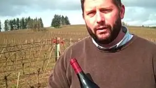 Bergstrom Shea Vineyard 2008 Pinot Noir