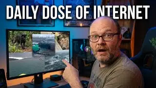 Worst Time for This to Happen [Daily Dose of Internet] Reaction #dailydoseofinternet #reaction #fyp