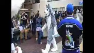 FCN Fursuit Parade Furry Connection North