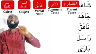 This Pattern of Arabic Verbs is Super