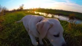GoPro Hero 5 Black + GoPro Studio - 4k Video sample TEST!