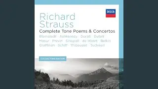 R. Strauss: Oboe Concerto in D Major, TrV 292: 3. Vivace - Allegro
