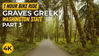 Nature Beauty of Graves Creek for Indoor Workout - 4K Forest Roads Bike Ride for Cycling Workout #3