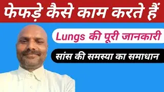 फेफड़े कैसे काम करते हैं ? | Lungs Complete Guide + Best Yoga | Lungs Yoga | Yoga For Lungs | 