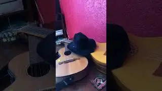 #sertanejo #modaoraiz
