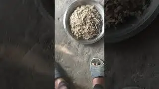 Chhota machhali banane ka tarika batata hun YouTub #postdinner #beingfoodie #healthydining
