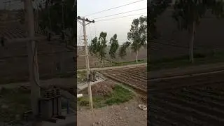 Alhamudallah after flood our cotton field has been better❤