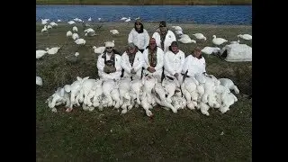 Currituck County Snow Geese- Fourth Generation Outfitters