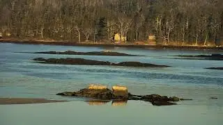 Audubon Osprey Nest Cam 04-06-2018 03:25:54 - 04:25:55
