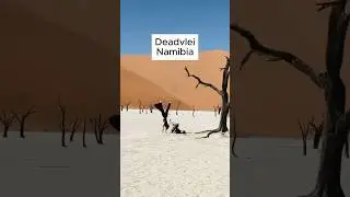 📍Deadvlei, Namibia 🇳🇦 #travel #tips #foryou #shorts