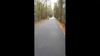 Training at St. Marks Trail (8 miles)