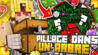 Des PILLAGES Dans LES ARBRES ???? RENTABLE OU NON ??!!! Sur SKILLPVP V14