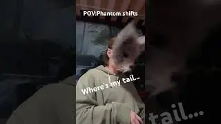 Phantom shifts be like: #alterhuman #therian #therianshift #real