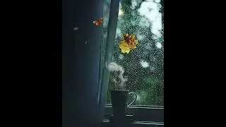 Window View : Rain autumn