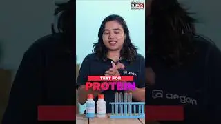 PLUS TWO BIOLOGY LAB- TEST FOR PROTEIN | RAYS EDUCATION