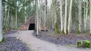 Лес Покайню (Pokaiņu mežs) - Латвия, декабрь 2020