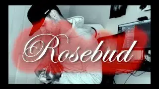 Rosebud - Kurt Moulison