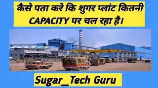 What's the REAL Capacity of a Sugar Factory? | sugar factory | Industrial Capacity