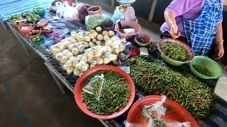 Sammie's Organic Farm Cooking Class - Chiang Mai, Thailand
