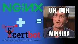 Настройка Nginx и Certbot для доступа к приложениям вашего домашнего сервера.