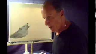 Oil Painting Alaska Wolf at Summer Moonlight Volume 29 Lesson # 502