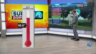 Weather explainer: Why we sweat