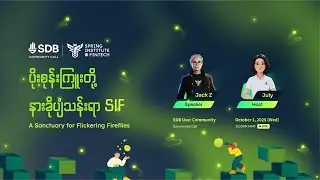SIF ပလက်ဖောင်းကို ဘယ်ချိန်လောက်က စပြီး အသုံးပြုနိုင်မလဲ?