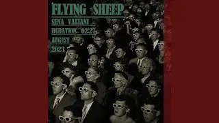 Flying Sheep