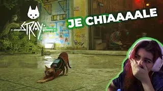 Stray #1 - Découverte du gameplay