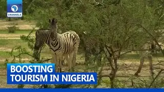 Tourism In Nigeria: Transforming Attraction Into A Destination Will Bring Value To Sites