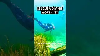 Breathing underwater is one of the greatest experiences in life 🤿 #scubadiving #funnyshorts #scuba