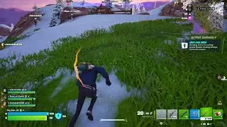Fortnite: battle (Team)